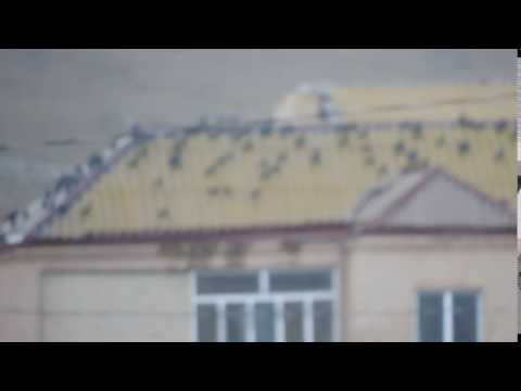 Ravens on the roof, Ninotsminda, Javakheti, Georgia/ყვავები სახურავზე, ნინოწმინდა, ჯავახეთი